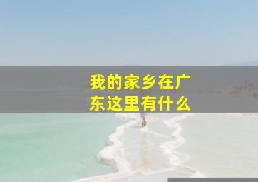 我的家乡在广东这里有什么