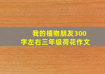 我的植物朋友300字左右三年级荷花作文