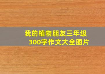 我的植物朋友三年级300字作文大全图片