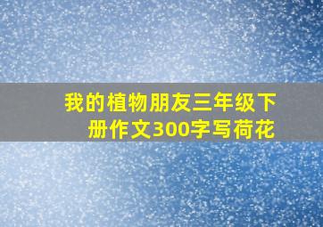 我的植物朋友三年级下册作文300字写荷花