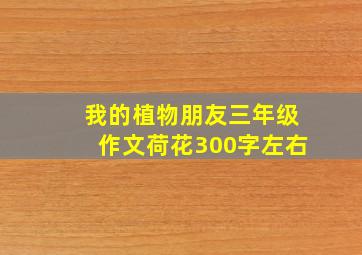 我的植物朋友三年级作文荷花300字左右