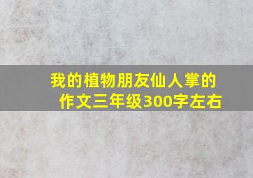 我的植物朋友仙人掌的作文三年级300字左右