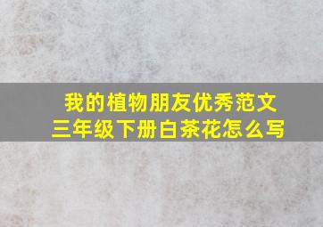 我的植物朋友优秀范文三年级下册白茶花怎么写