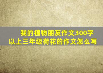 我的植物朋友作文300字以上三年级荷花的作文怎么写