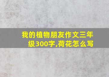 我的植物朋友作文三年级300字,荷花怎么写