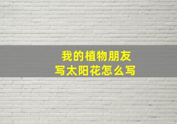 我的植物朋友写太阳花怎么写