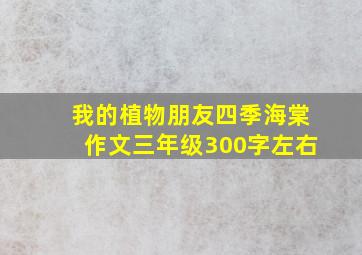 我的植物朋友四季海棠作文三年级300字左右