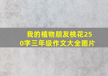 我的植物朋友桃花250字三年级作文大全图片