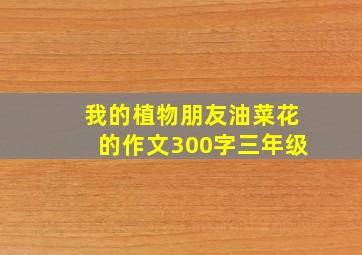 我的植物朋友油菜花的作文300字三年级