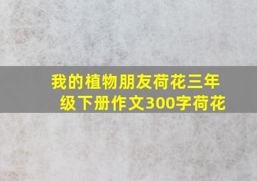 我的植物朋友荷花三年级下册作文300字荷花