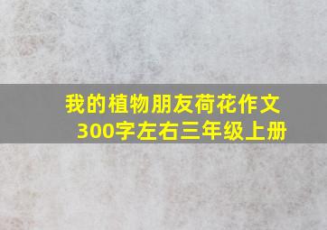 我的植物朋友荷花作文300字左右三年级上册