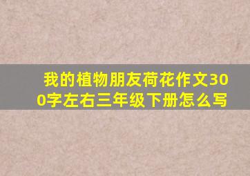 我的植物朋友荷花作文300字左右三年级下册怎么写