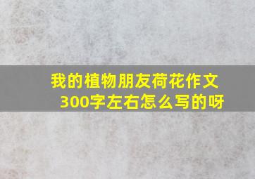 我的植物朋友荷花作文300字左右怎么写的呀