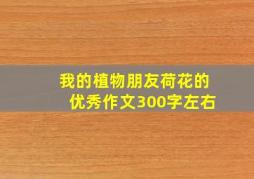 我的植物朋友荷花的优秀作文300字左右