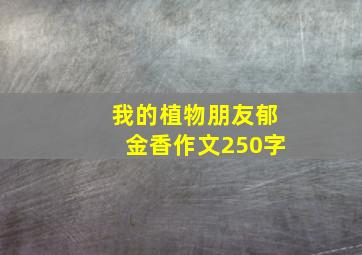 我的植物朋友郁金香作文250字