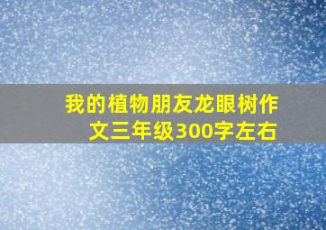 我的植物朋友龙眼树作文三年级300字左右