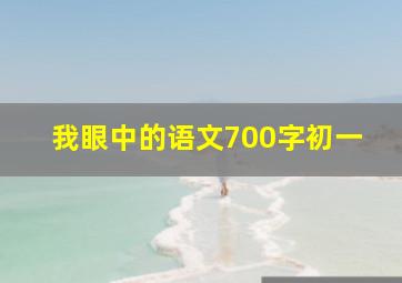 我眼中的语文700字初一