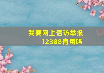 我要网上信访举报12388有用吗