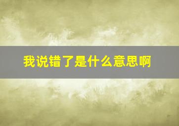 我说错了是什么意思啊