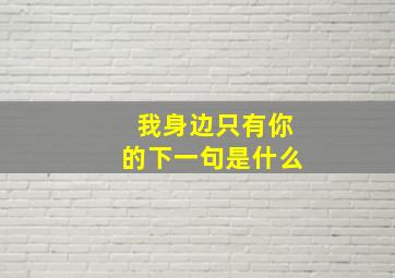 我身边只有你的下一句是什么