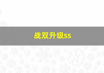 战双升级ss