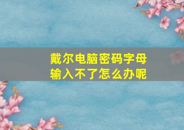 戴尔电脑密码字母输入不了怎么办呢