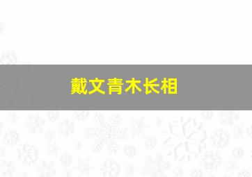 戴文青木长相