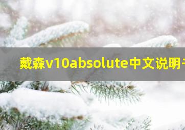 戴森v10absolute中文说明书