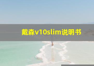 戴森v10slim说明书