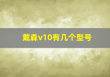 戴森v10有几个型号