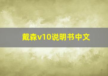 戴森v10说明书中文