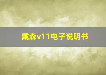 戴森v11电子说明书