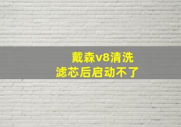 戴森v8清洗滤芯后启动不了