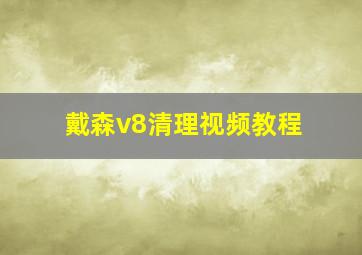 戴森v8清理视频教程