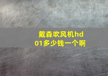 戴森吹风机hd01多少钱一个啊