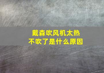 戴森吹风机太热不吹了是什么原因