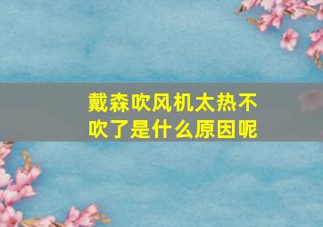 戴森吹风机太热不吹了是什么原因呢