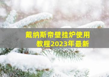 戴纳斯帝壁挂炉使用教程2023年最新