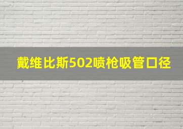 戴维比斯502喷枪吸管口径