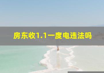 房东收1.1一度电违法吗