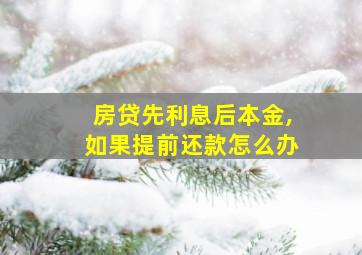 房贷先利息后本金,如果提前还款怎么办