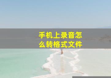 手机上录音怎么转格式文件