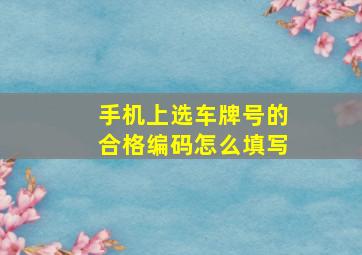 手机上选车牌号的合格编码怎么填写