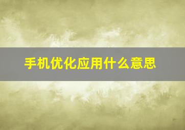 手机优化应用什么意思