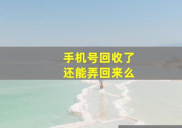 手机号回收了还能弄回来么