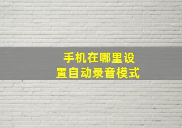 手机在哪里设置自动录音模式