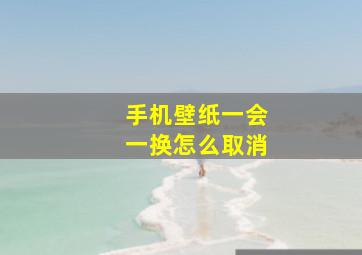 手机壁纸一会一换怎么取消