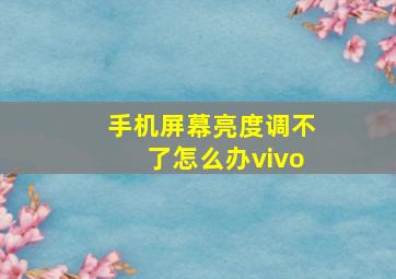 手机屏幕亮度调不了怎么办vivo