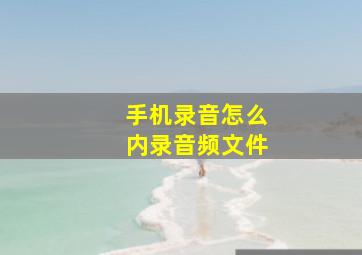 手机录音怎么内录音频文件