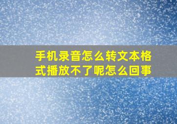 手机录音怎么转文本格式播放不了呢怎么回事